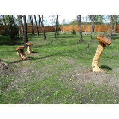 Декоративнi садовi елементи, цiна договiрна